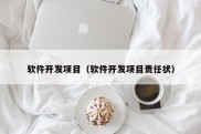 软件开发项目（软件开发项目责任状）